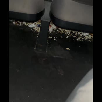 Site Sinemaları Hayal Kırıklığına Uğrattı!