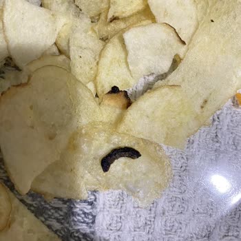 Cips Paketinde Kurt Şoku