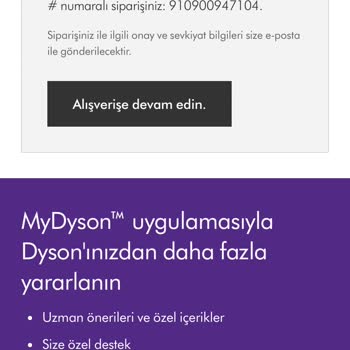 Dyson Siparişim Kargoya Verilmiyor: Bekleyiş Sürüyor