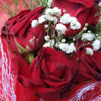 Çifte Ödeme Ve Solmuş Çiçek Sorunu