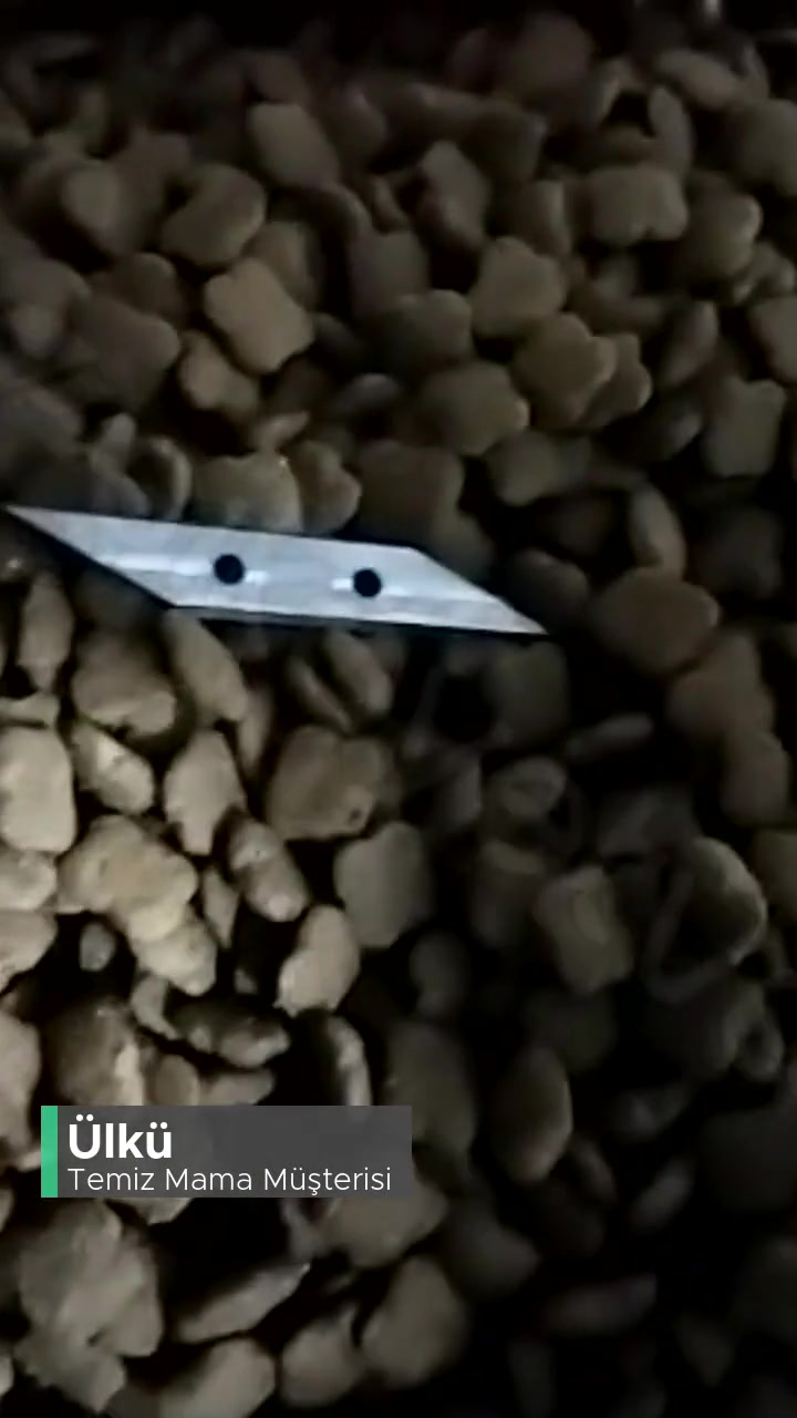 Temiz Mama Mito'dan Jilet Çıktı videonun kapak resmi