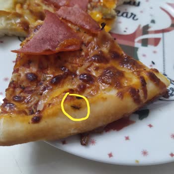 Migros'tan Aldığımız Pizzada Böcek Şoku