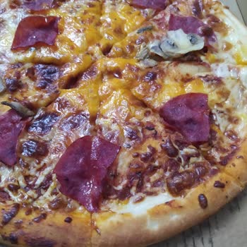 Migros'tan Aldığımız Pizzada Böcek Şoku