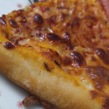 Migros'tan Aldığımız Pizzada Böcek Şoku