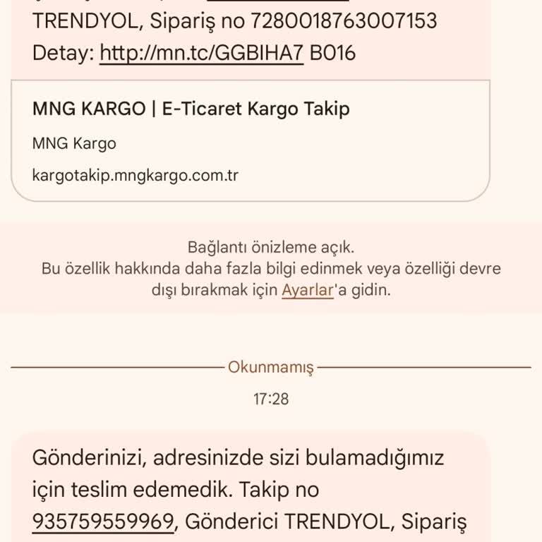 Teslimat Yapılmadan Gönderilen Yanıltıcı Mesajlar