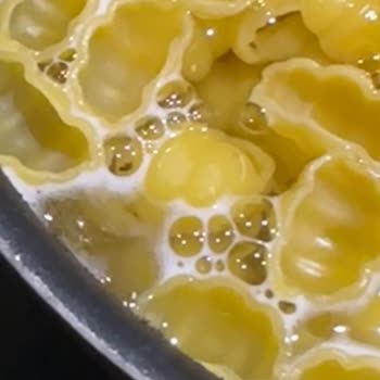 Barilla Makarna Kutusunda Böcek Şoku