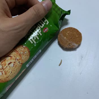 Fındıklı Bisküvide Kurt Şoku