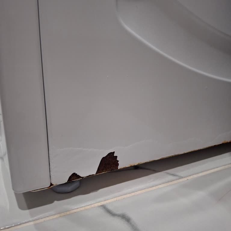 Bosch Çamaşır Makinesi: Paslanma Sorunu Ve Servis Deneyimi