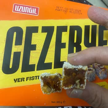 Uzungil Cezeryede Kurt Şoku: İhmalkarlık Kabul Edilemez