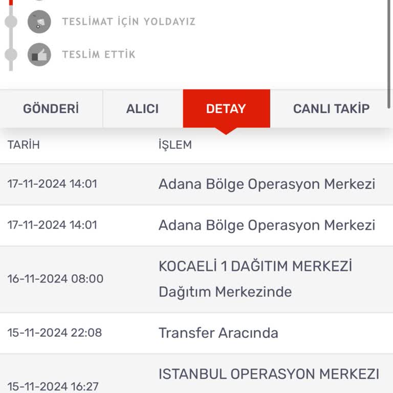 Yanlış Adrese Gönderilen Elbise: Ekstra Masraflarla Karşı Karşıya