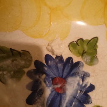 Foça Süt Yoğurt Yoğurdun İçinden Sakız Çıktı