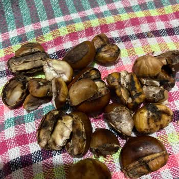 Erfelek Kestanecim Kalitesiz Ürün Satışı