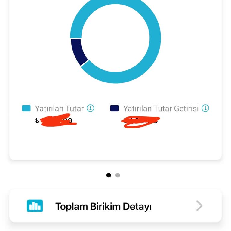 Devlet Katkısı Eksikliği: BES'te Hayal Kırıklığı