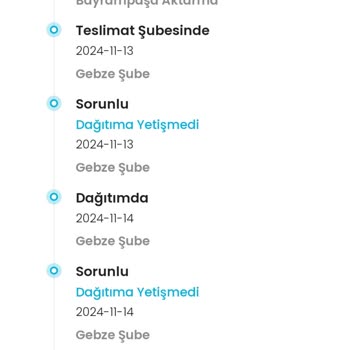 Kargo Teslimatında Yaşanan Gecikme Sorunu