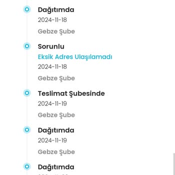 Kargo Teslimatında Yaşanan Gecikme Sorunu