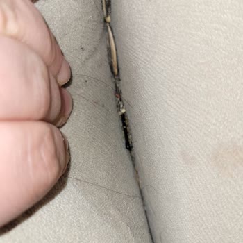 Hijyen Sorunu: Hastane Refakatçi Alanı Temizlenmiyor