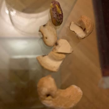 Bozuk Kuruyemiş Ve Böcek Sorunu