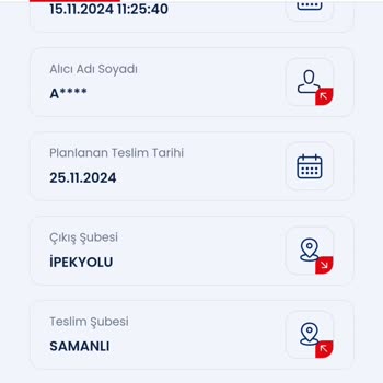 Teslim Edilemeyen Ürün Ve İade Sorunu