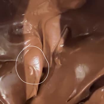 Nutella İçerisinden Kurt Çıkması Kabul Edilemez