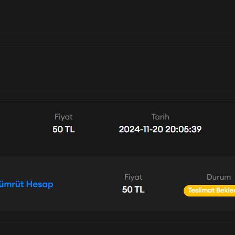 Hesap Erişimi Ve Para İadesi Sorunu