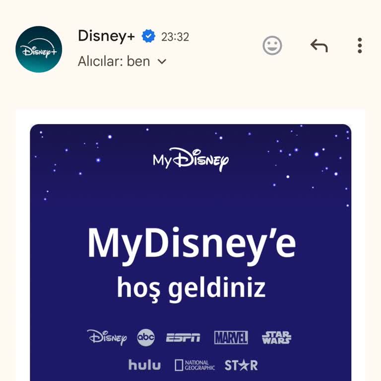 Yetkisiz Disney Hesap Açılışı Ve Güvenlik Endişesi