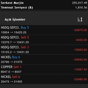 Yanıltıcı Danışmanlık Ve Kayıp Milyonlar