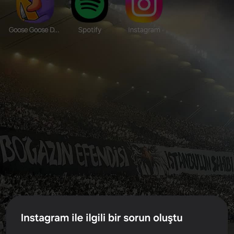 Instagram Uygulaması Giriş Hatası