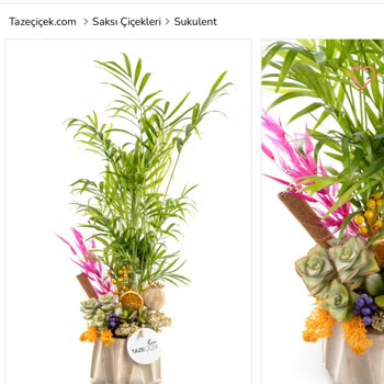 Taze Çiçek | Tazecicek.com Yanıltıcı Çiçek Siparişi Deneyimi!