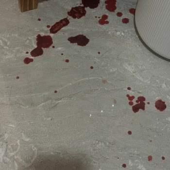 Westvet Veteriner Kliniği Şikayeti