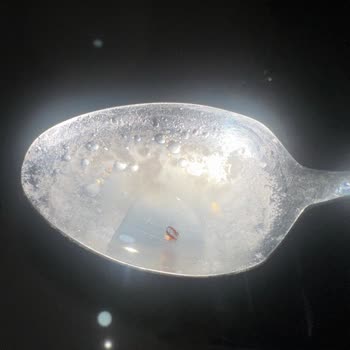 Güvenilir Markada Beklenmedik Böcek Şoku