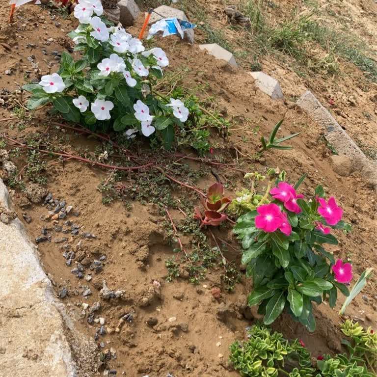 Umuttepe Hastanesi'nde İhmalkarlık Ve Kayıp