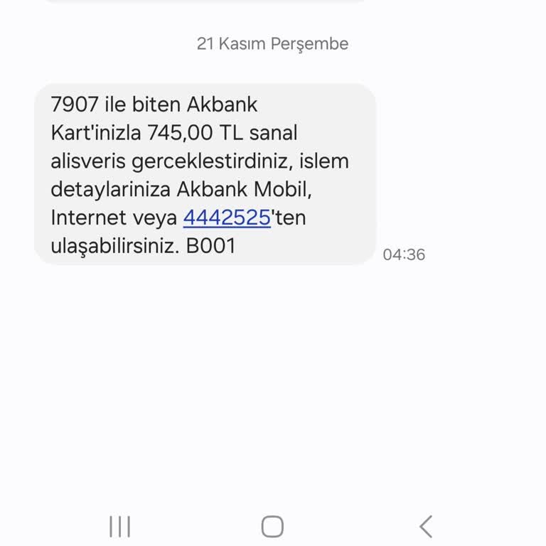 İzinsiz Para Çekimi Sorunu