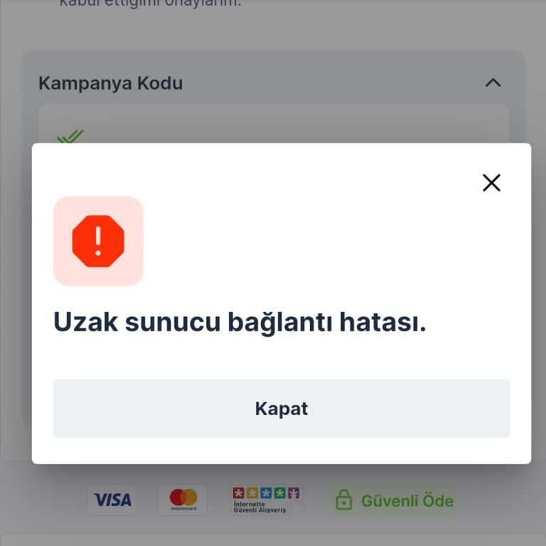 Bilet Alımında Sunucu Hatası Ve Müşteri Hizmetlerine Ulaşamama Sorunu
