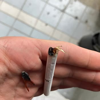 Marlboro Touch Sigara İçinden Kauçuk Parça Çıktı
