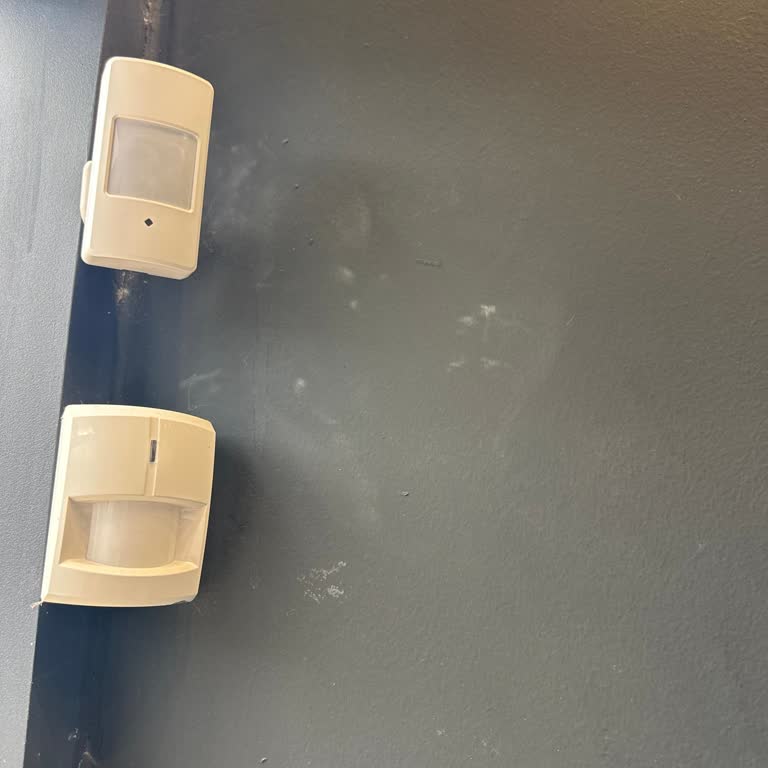 Pronet İptal Sürecinde Yaşanan Sorunlar Ve Beklenmedik Ücretler