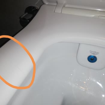 Yeni Taşındığım Evde Klozet Kapağı Şoku