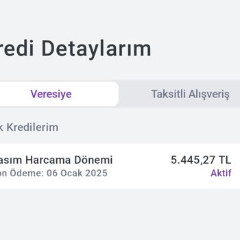 A101 Hadi Uygulamasında Hesap Kapatma Sorunu: Müşteri Mağduriyeti