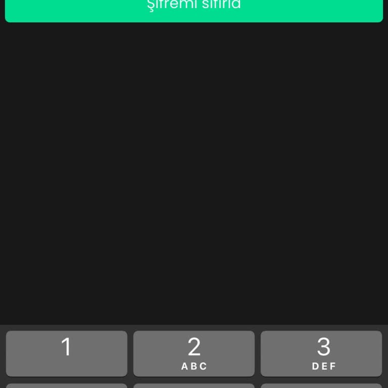 Bitay Uygulamasında Giriş Sorunu