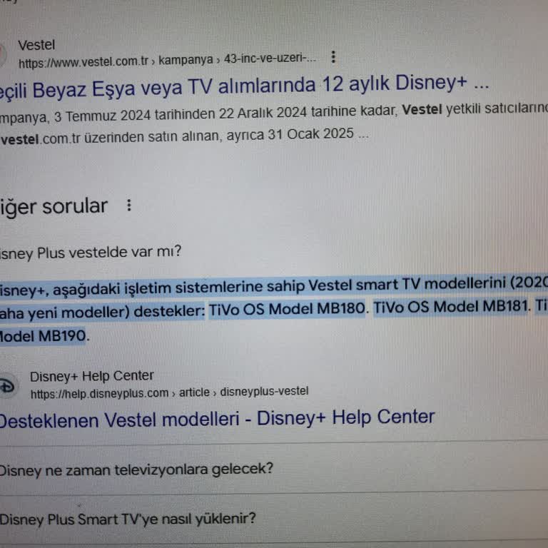 Disney Plus Vestel TV Uygulama Sorunu