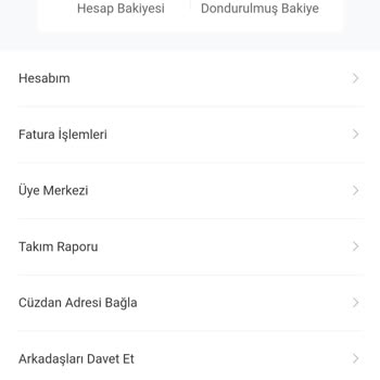 Etsy İş Fırsatında Büyük Mağduriyet