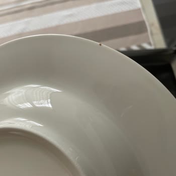 Just Green Organic Aldığıma Pişman Oldum