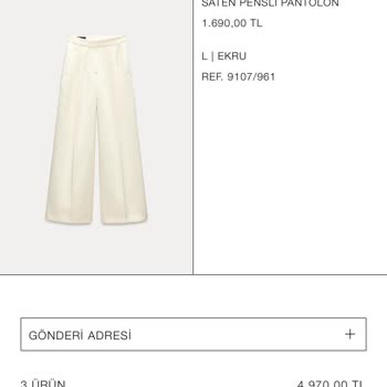 Zara Online Alışverişte Kayıp Kargo Ve İade Sorunu