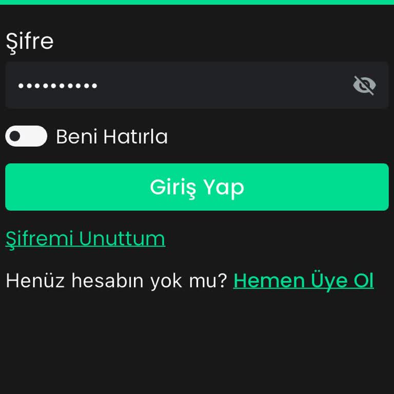 Bitay Hesabıma Erişim Sağlayamıyorum