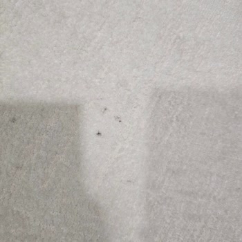 Armağan Halı & Koltuk Yıkama | Esenkent/İstanbul Halılarımı Lekeli Teslim Ettiler!