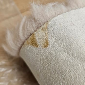 Armağan Halı & Koltuk Yıkama | Esenkent/İstanbul Halılarımı Lekeli Teslim Ettiler!