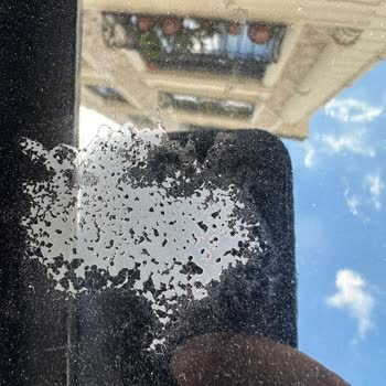 Kia Refused to Address Paint Peeling Issue on My 2022 Stonic Roof