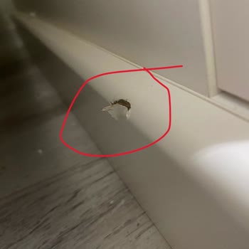 Doğtaş'tan Hayal Kırıklığı: Eksik Ve Hasarlı Ürünler