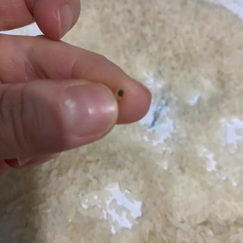 Güvenilir Markada Hayal Kırıklığı: Siyah Pirinç Sorunu