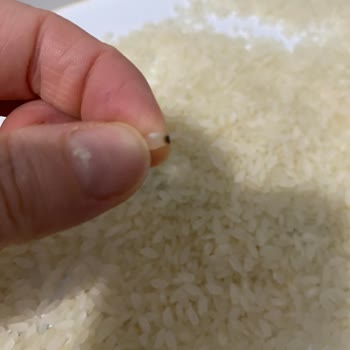 Güvenilir Markada Hayal Kırıklığı: Siyah Pirinç Sorunu