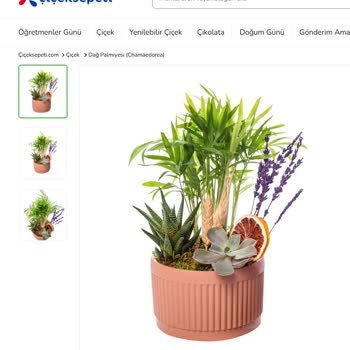 Yanıltıcı Ürün Görselleri Ve İletişim Sorunları